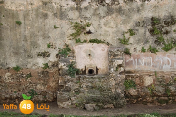 baitandsbeelabokber (8).JPG